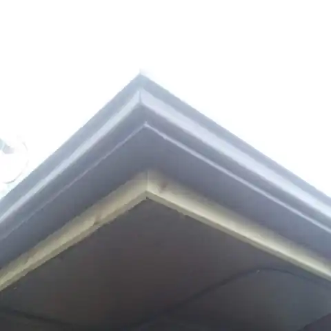 Gutter and fascia