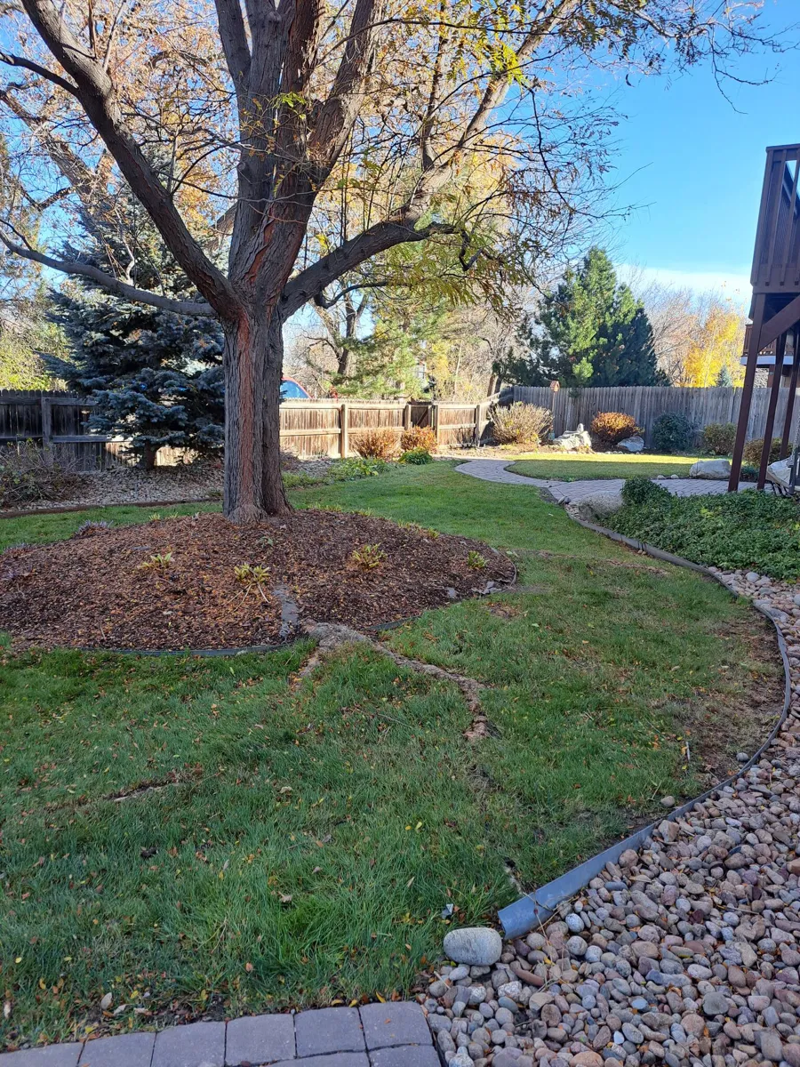 Cleaned-up yard with a rock border