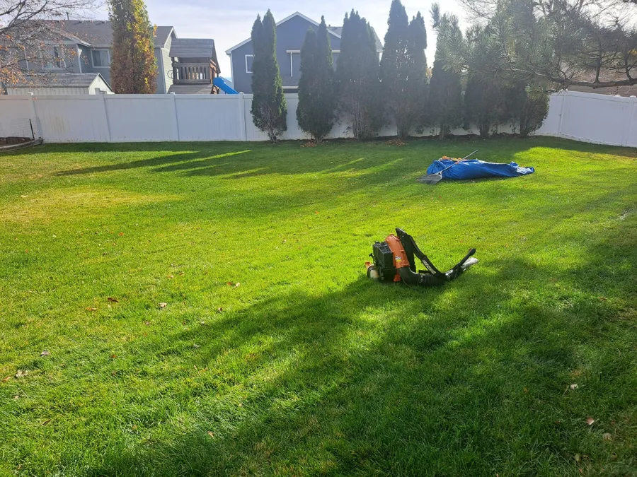 Leaf cleanup on a big lawn