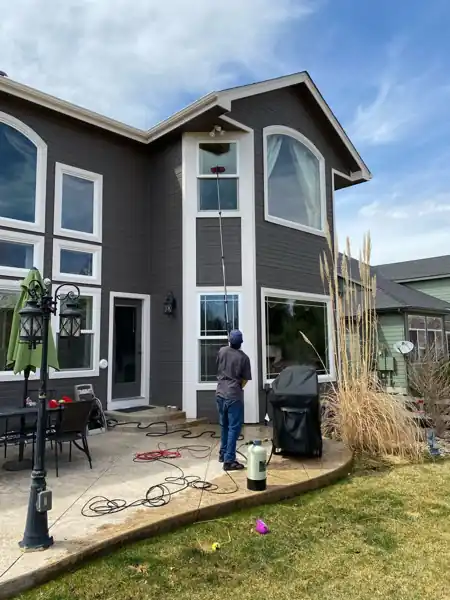 Exterior windows, back of house