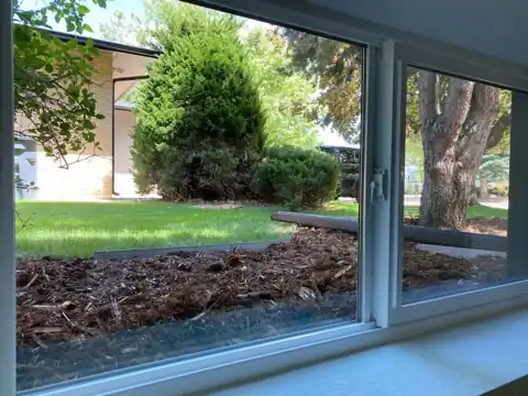 Clear view to the yard
