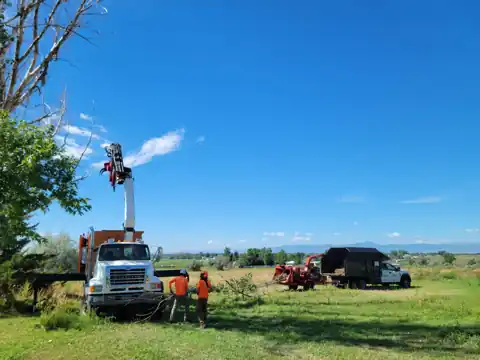 Bucket truck on a trim job