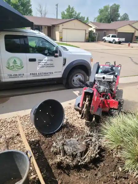 Stump grinder at work