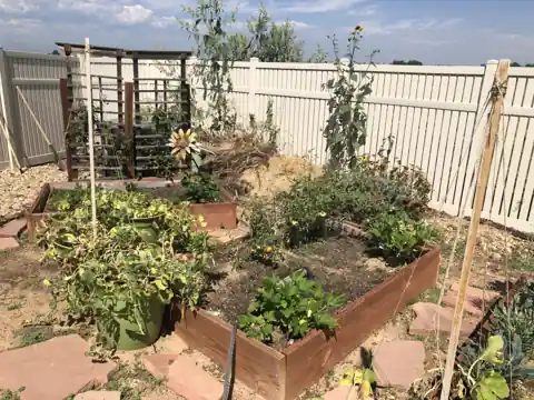 Raised garden beds
